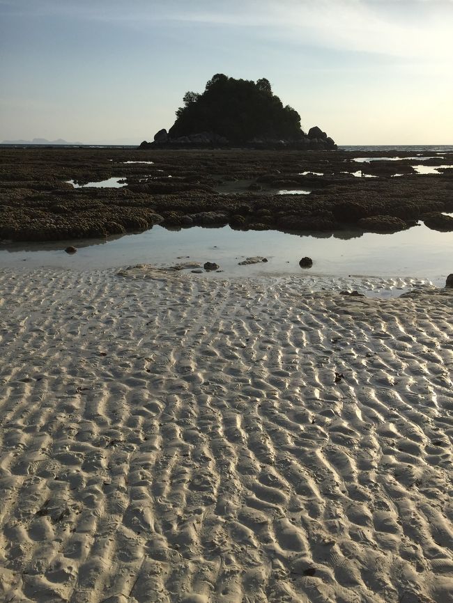 向かいの無人島までも地続きになって、あれ？海はどこへ？という感じ。でもご安心を。しばらくしたらきれいな水色の海が戻ってきます。