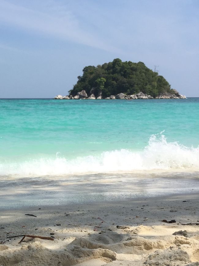 ほら、こんな感じに。魚たちも戻ってきます。この無人島のそばが絶好のシュノーケルスポットなので、潮が満ちたら泳いでいくか、もしくはカヤックを借りて行ってみることをおすすめします。