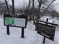 小田代ヶ原に到着も雪が降り始めてきました。