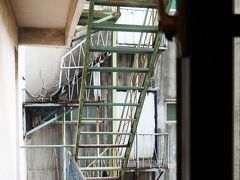昨夜は暗くて見えなかったけど、カーテンを開けた目の前は隣接するビルの裏階段だった。
照明が薄暗いから明かりが欲しいのに、これでは開けられない。　　