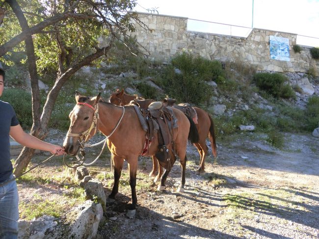 約束の時間となり、カンペシーノ（農民）が馬を連れてやって来ました。<br /><br />tanupamさん撮影