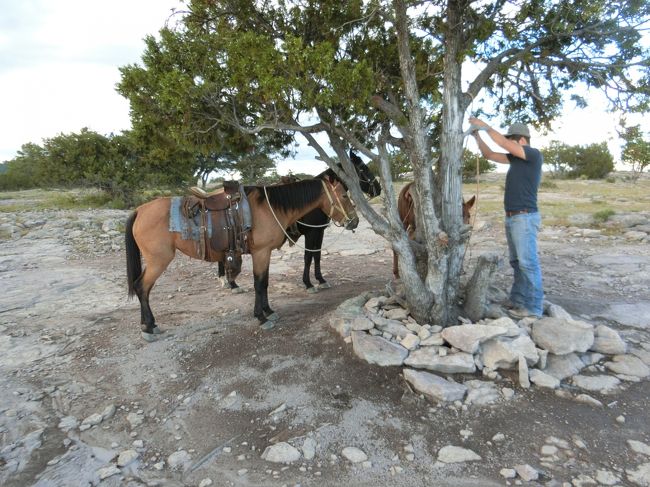 「ここがてっぺん。一番いい場所なんだ。ゆっくり眺めを楽しんでよ。<br />馬たちにちょっと休憩させるんだ。」<br /><br />tanupamさん撮影