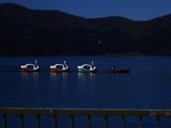 芦ノ湖をスワンボートがゆきます