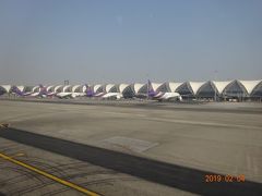 空港にはタイ航空の機体が並びます、タイ航空の本拠地だけのことは有ります