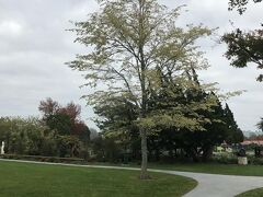 広々した気持ちのいい公園でした。