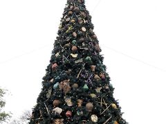 三日目にして、初のパークインは、アニマルキングダムです！
クリスマスツリーには、動物のオーナメントが飾られてます。