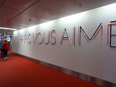 約12.5時間のフライトを経て、無事にパリ・シャルル・ド・ゴール空港に到着～。当然エコノミーだったけれど、思ったより快適でした。

空港では、これから滞在中に使うための交通カード「ナヴィゴデクヴェルト」と「ミュージムパス」を購入するために少しうろうろしましたが、なんとかゲットできました。