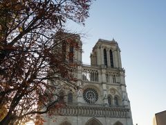 朝日を背にしたノートル・ダム大聖堂。
聖堂内は入り口のセキュリティーチェックのみで無料で入れますが、塔への入場にはミュージアム・パスが使えるのでチケットレス。
それでも塔に登る時は整理券を貰ってグループごとに登る事になっているようで、順番が来るまで少し並びました。