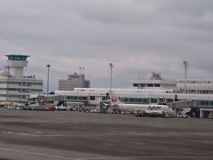 羽田から約2時間。定刻より35分遅れで鹿児島空港に到着。
