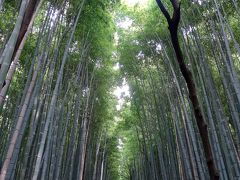 竹林の小径

　京都の夏はやっぱり暑いが，竹林では夏場でも涼を感じながら，異次元な空間の散歩を楽しむことができる。天龍寺の北門から大河内山荘までの昇りの道は，竹林の密集度が高く，独特の雰囲気だ