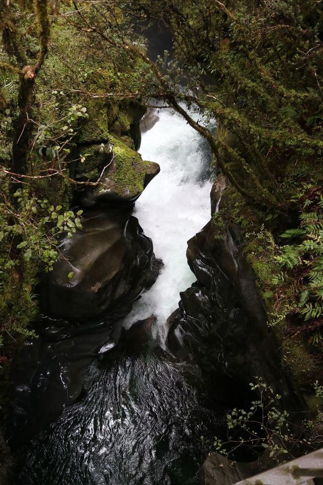 クレドウ川から流れてきているのでしょうか。<br />展望台のほうに行く途中にも水の流れるが見られます。