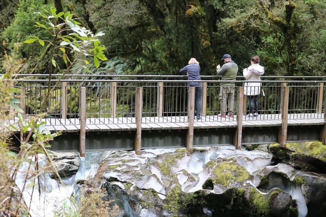 展望台から見ています。