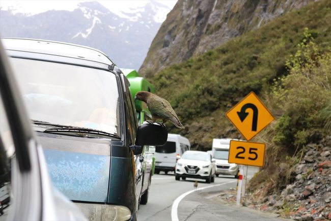 ホーマートンネルで待っていると・・・・<br />サイドミラーにのっています。