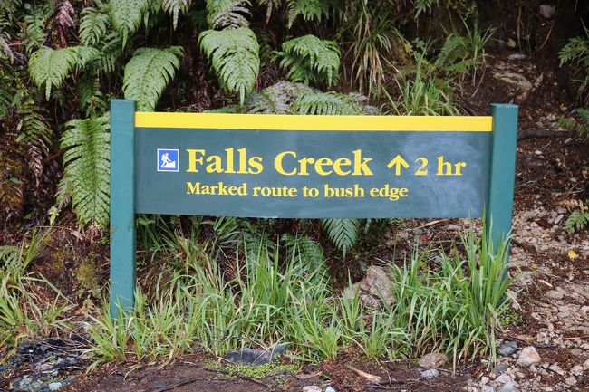 フォールスクリーク