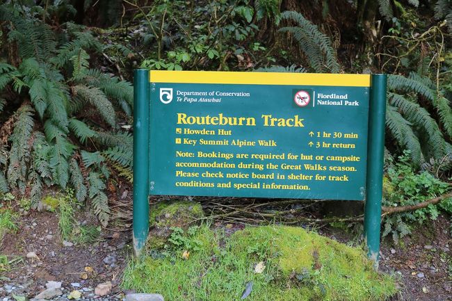 ルートバーントラック