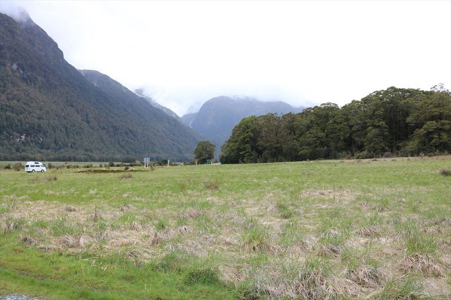 キャンプができます。