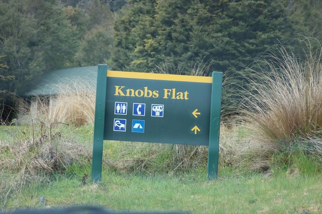 ノボスフラット