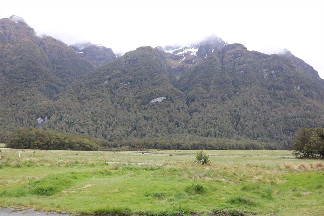 草原が広がっています。