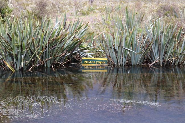 字が写っています。