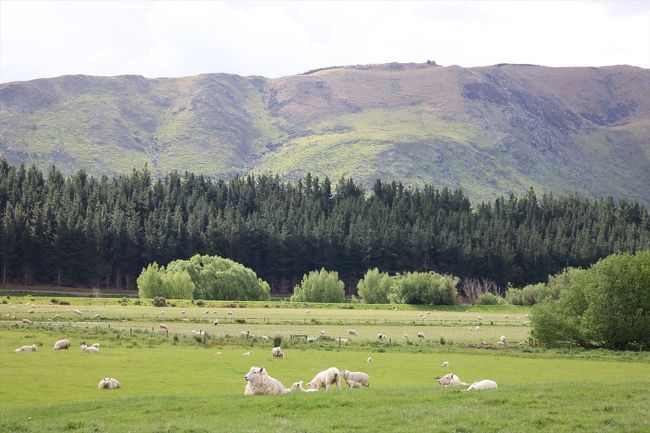 ほんとたくさん