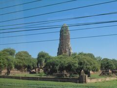 象の上からもみた、ワット・プラ・ラームの大仏塔。迫力ありますねえ。