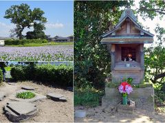 本薬師寺跡

　天武天皇が後に持統天皇となる皇后の病気平癒を祈って建立し，698年に完成。平城京遷都に伴い，薬師寺が西ノ京に移る際，現在の場所に移築された。西ノ京の薬師寺と区別して「本薬師寺」又は「藤原薬師寺」と称される。現在は，金堂跡と東西両塔跡に大きな礎石だけが残されている

　写真は，東塔の土壇と祠