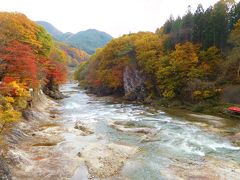 モミジに囲まれた紅葉公園をはじめ、バンジージャンプとライトアップで知られる諏訪峡大橋や、利根川の激流により岩畳が侵食された竜ヶ瀬など見どころも多いので楽しく散策できました。
紅葉の美しい時期に訪れることができてよかったです。

最後まで見ていただきありがとうございました。