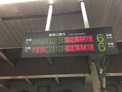 上野駅からはやぶさで出発。余裕を持って10時50分と遅めの時刻にした。