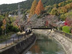 　安朱橋からの山科疏水（琵琶湖疏水）