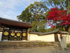 醍 醐 寺

　200万坪以上の広大な境内を持つ京都市最大の寺院で，1994年に登録された世界遺産「古都京都の文化財」の構成遺産の一つ。秀吉による「醍醐の花見」で知られる桜の名所だが，「醍醐のもみじ狩り」でも知られる。貞観16年（874年）に理源大師が上醍醐山上に小堂を建立したのに始まる。延喜７年（907年）に醍醐天皇の御願による薬師堂が建立され，五大堂が落成するに至って上醍醐の伽藍が完成。それに引き続くように下醍醐に伽藍の建立が計画され，延長４年（926年）に釈迦堂，天暦５年（951年）に五重塔が落成し，下伽藍の完成をみた。その後，真言宗小野流の中心寺院として重要な地位を占め，永久３年（1115年）に三宝院が建立され醍醐寺発展の基礎が確立された