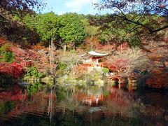 　水鏡となった弁天池に朱塗りの弁天堂と色付いた紅葉が映り込む様は，醍醐寺を代表する紅葉のベストショット