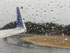 はいた～い！
朝から雨。
北の大地から飛んで来る青い翼は、悪天候により出発遅延となりました。