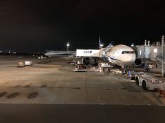 羽田空港 第2旅客ターミナル