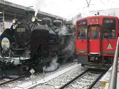 そんなこんなで鬼怒川駅に着きました。

鬼怒川駅からは、SL大樹の隣に停車している東武AIZUマウントエクスプレス号1号に乗ります。

たまたま早く乗ったので座れたのですが、車内はすぐに満杯に。。

とっても混む列車なのですね。座れてよかった。。