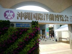 水族館を諦めて、公園内の熱帯ドリームセンターへ。
ちょうど蘭の博覧会が開催中でした。