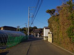 圓福寺
恵比寿様のお寺です。