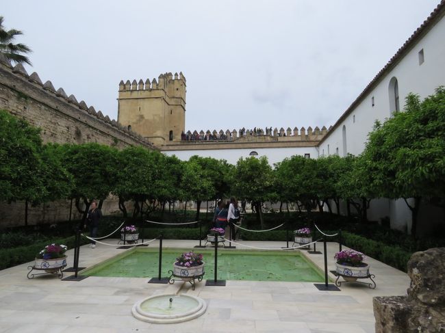 コルドバ_Córdoba モスクの真ん中にカトリック聖堂!パティオ祭で華やかに賑わうイスラムの古都