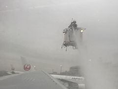 2019年2月9日

2019年になってあっという間に2月。
2月の３連休は絶対本土より暖かい沖縄の石垣！

でも、この日の関東地方の天気予報は雪。
そんなに降ってはいなかったけど、雪に弱い羽田空港はダイヤ乱れまくり。
我らが乗るJAL907便の飛行機も凍結防止剤の散布を待って1時間Dealy。