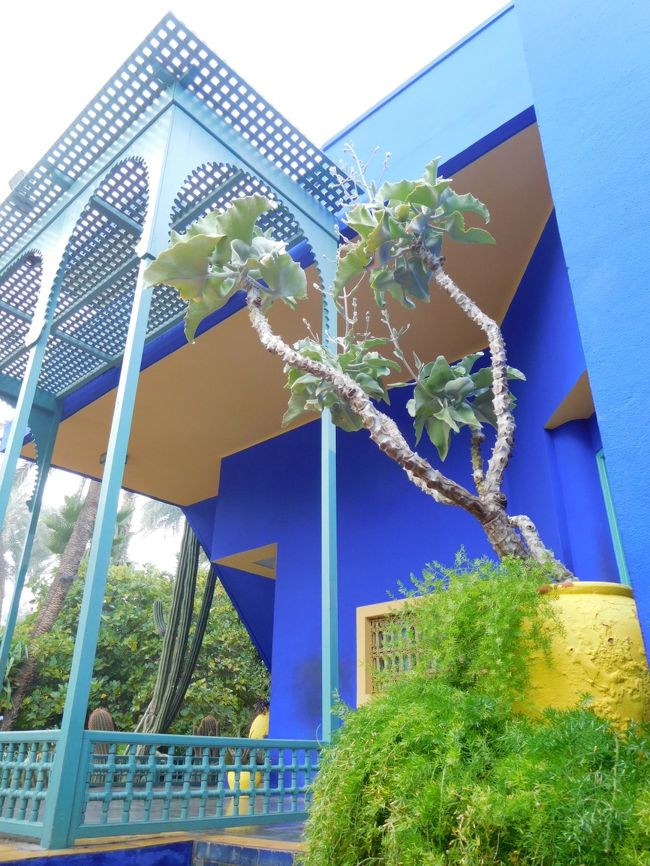 　う～ん、ステキな色～。