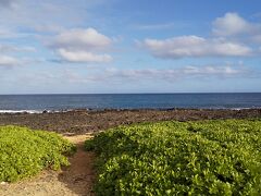 帰りは海側の道を通って帰れました！
行きもこっち来たかったな・・・。

西陽が気持ちいい！！
