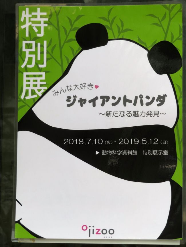 神戸レッサーパンダと神戸牛グルメの旅 ２ 動物園いろいろ みやげ編 動物科学資料館のジャイアントパンダ展や兵馬俑の実物大の模型がある王子動物園とコンビニでの神戸みやげ アニマル写真のロッカーやレッサーパンダ グッズがたくさんの神戸どうぶつ王国で楽しく