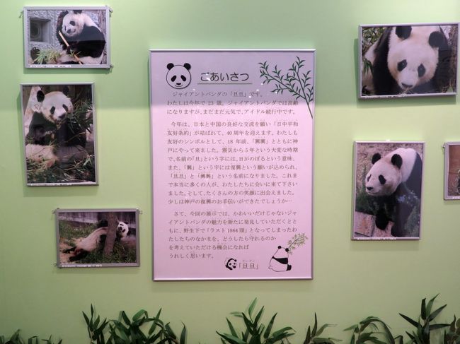 神戸レッサーパンダと神戸牛グルメの旅 ２ 動物園いろいろ みやげ編 動物科学資料館のジャイアントパンダ展や兵馬俑の実物大の模型がある王子動物園とコンビニでの神戸みやげ アニマル写真のロッカーやレッサーパンダ グッズがたくさんの神戸どうぶつ王国で楽しく