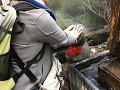 手湯 福福の湯