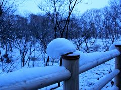 雪を踏みしめながら、1.5kmのボッケ遊歩道を歩きます。
http://business4.plala.or.jp/akan-eco/bokke.html

ガイドさんによると遊歩道ではエゾリスやムササビを見ることもできるそうで、キョロキョロしながら歩いていると、雪に足をとられて転びそうに（＾＾；）