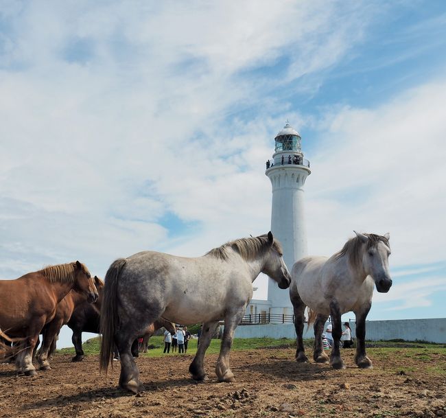 じ～んわりと良さが染みてくる・・・下北半島の夏旅③ 尻屋崎の
