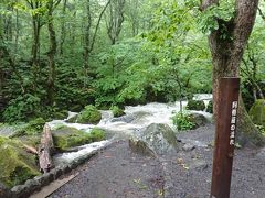 阿修羅の流れ。
奥入瀬渓流を代表するビュースポットですが、この日は濁流です。笑
