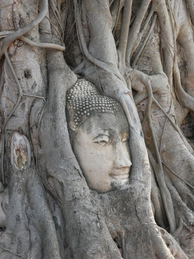 パワースポット。ガイドさんからの説明で凄惨な歴史があると感じた場所。