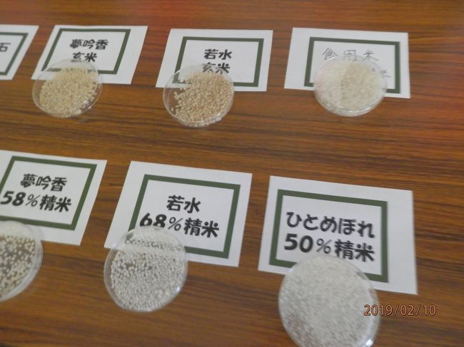 『10日曜1午前ねのひ蔵開き第1会場』常滑・セントレア（中部国際空港）(愛知県)の旅行記・ブログ by saitenさん【フォートラベル】