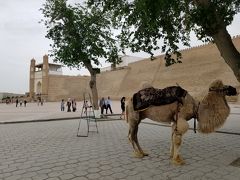 カラーン・モスクを後回しにしてアルク城へ。
地球の歩き方の表紙と同じく城門を背景にラクダをパチリ。