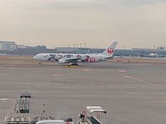 午後の直行便のためゆっくり羽田空港へ。
カードラウンジでのんびりします。
ミッキージェットだ。